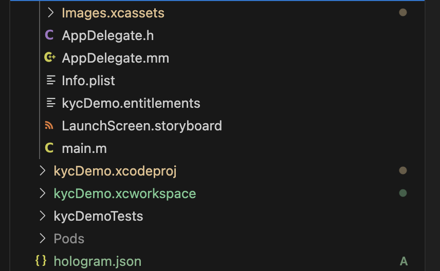 Sample iOS folder structure